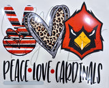 Screen Prints / DTF Prints - School Spirit