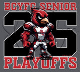 BCYFC 2025 - SENIOR TEAM PLAYOFF TSHIRTS